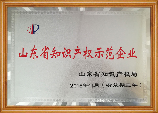 山(shān)東(dōng)省知(zhī)識産權示範企業(yè)(圖1)
